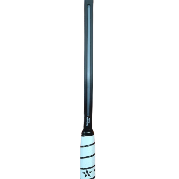 P2 PADDLE LY - Image 4