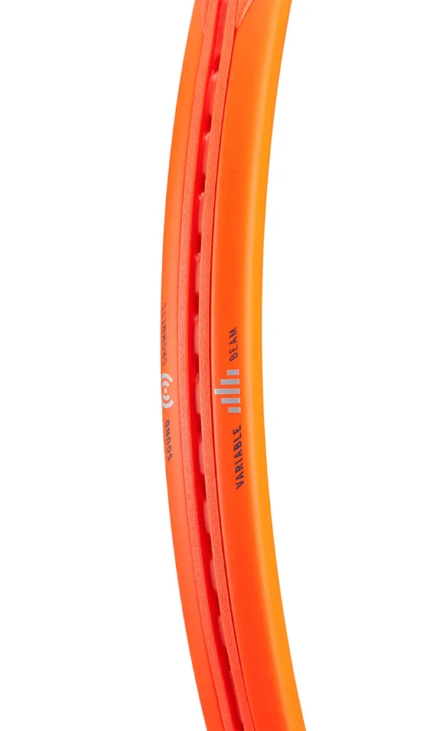 RADICAL MP 2023 - Image 3